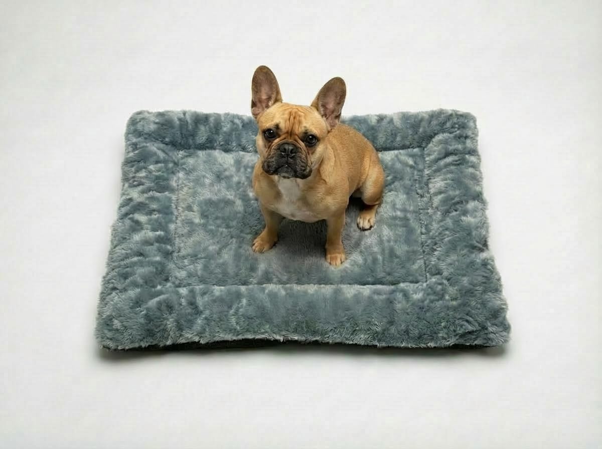 MH Traders Dog Bed Pet Cat Beds Cushion Mattress Soft Warm Dog Mat Pad for Dogs (Wyatt, Small (50 x 75 cm))