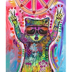 Dawhud Direct Colorful Racoon Fleece Blanket for Bed 50″ x 60″ Dean Russo Raccoon Fleece Throw Blanket for Women, Men and Kids Super Soft Plush Racoon Blanket Throw Plush Blanket for Racoon Lovers