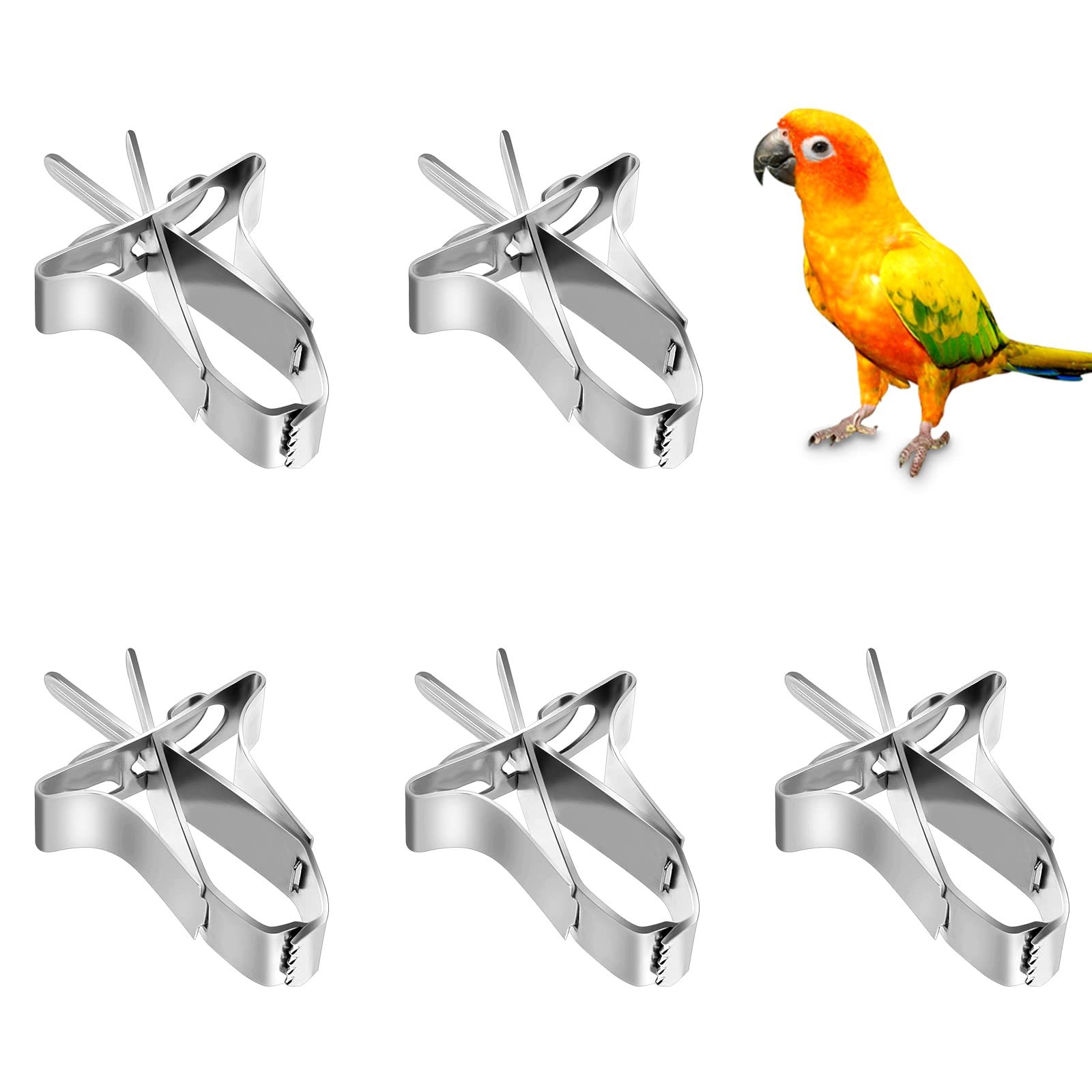 5Pcs Pinzas Comida Pajaros, Jaula Pajaros Comedero Clip para Loros Aves Comida Titular Clip de Comida para Pajaros, Comedero para Aves Loros Canarios Periquitos