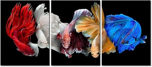 Miniatura 2 de iKNOW FOTO Cinco impresiones en lienzo de peces betta siameses aislados sobre fondo negro, arte de pared, hermoso movimiento, macro, foto, giclée,