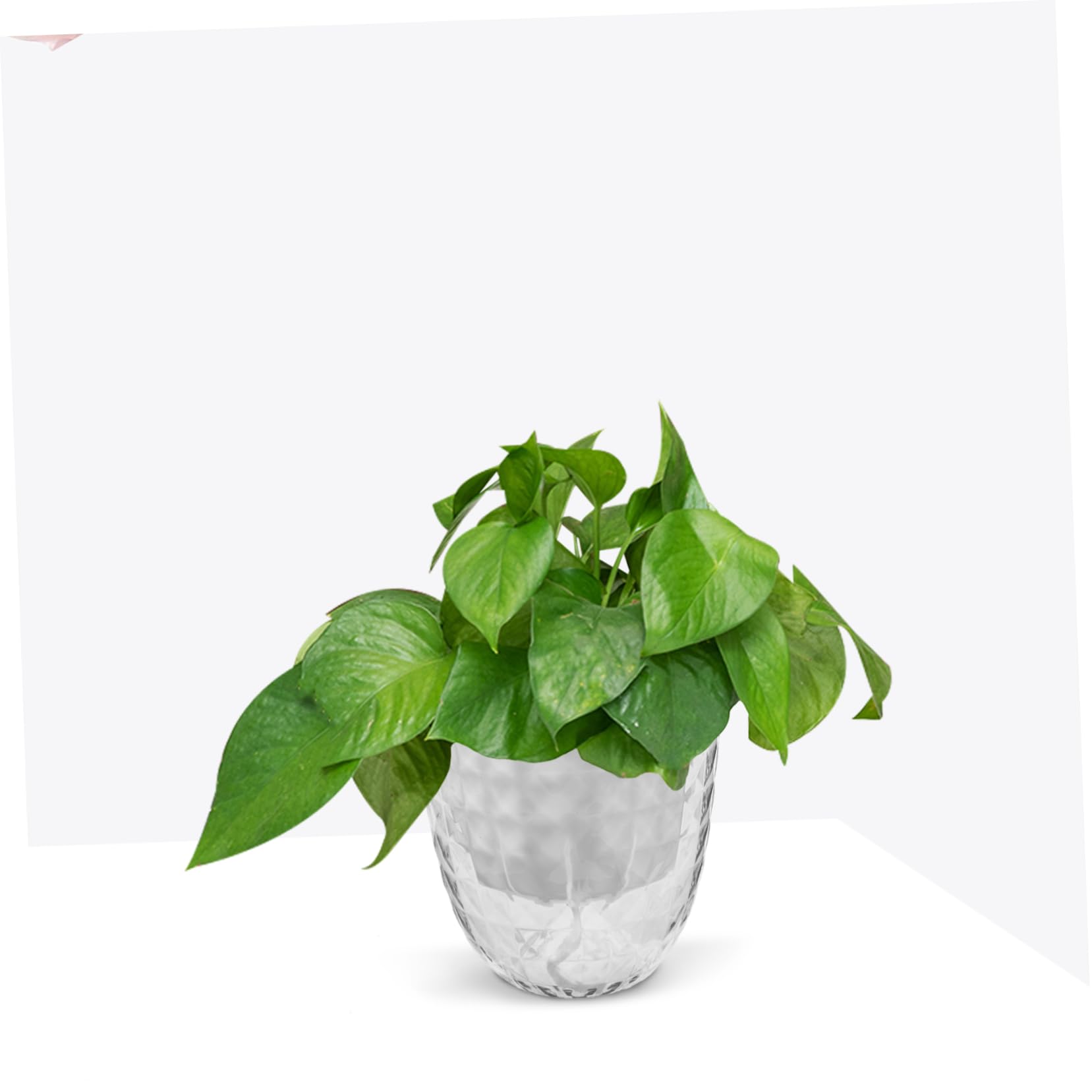 Plateau Auto-Aspirant 3 Pièces Pots Auto-arrosants avec Système Darrosage Automatique pour Plantes Dintérieur Nécessitant Peu Dentretien