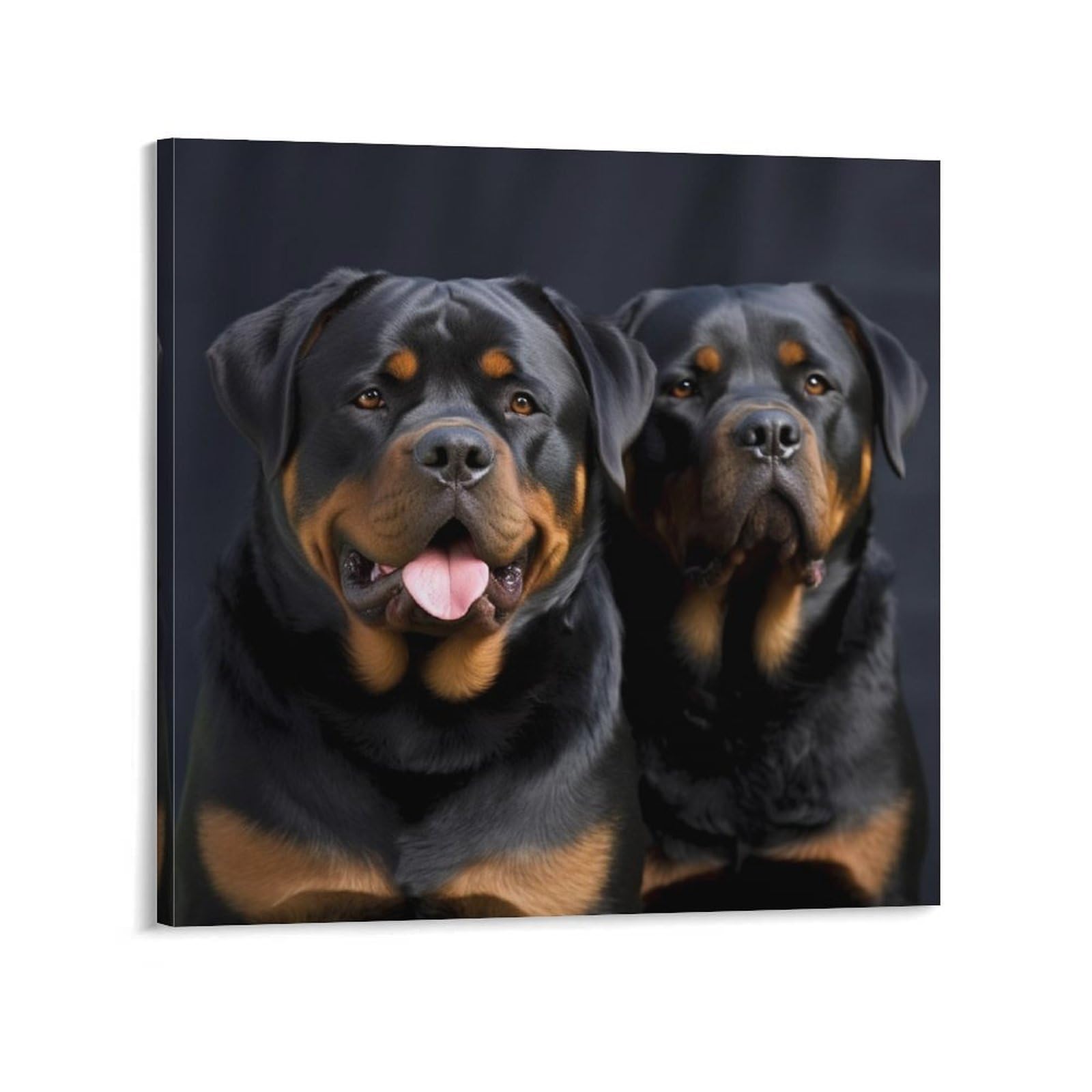 KLOPH Rottweiler Wallpaper Canvas Wall Art for Living Room 12x12inch Modern Artwork Painting for Bathroom Hanging Canvas Prints Aesthetic Wallart for Bedroom Kitchen Office Wall Decor