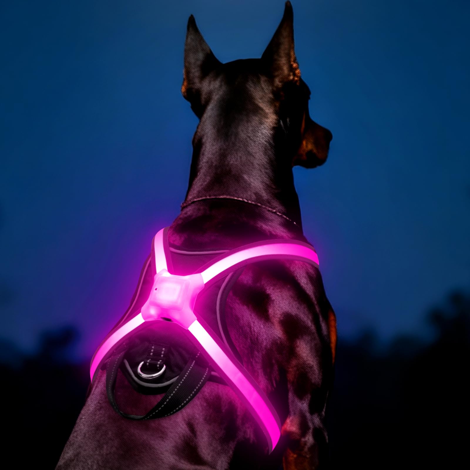 Light Up Dog Harness – Multicolor LED Dog Harness with 7 Lighting Modes | No Pull USB Rechargeable Safety Vest with Handle for Medium Large Dogs | Waterproof & Adjustable Glow-in-The-Dark Illuminated