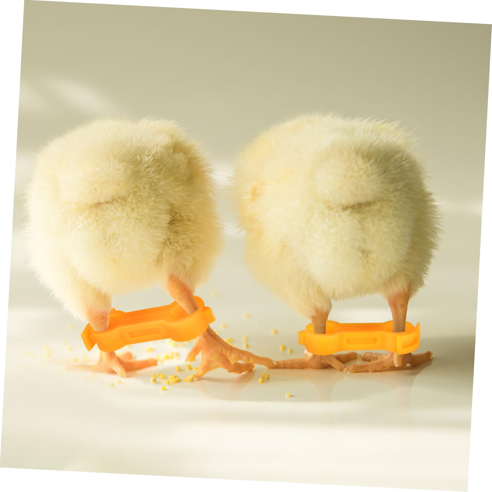 Hühnerbeinspreizstütze 12 Stück PVC, 4/5/6mm Öffnungen für Küken | Gelb, Einfache Anwendung und Entfernung, Fördert Gesundes Wachstum, Zubehör für Heimvögel Vogelbedarf