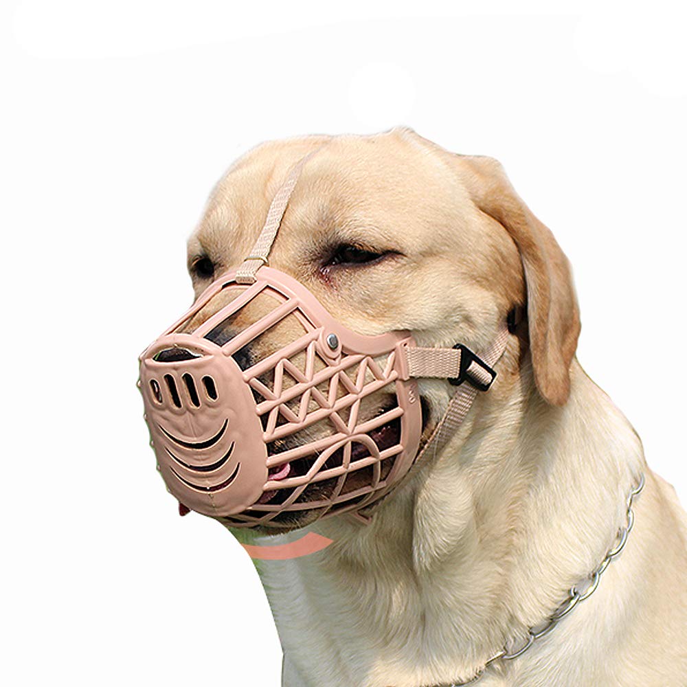 basket muzzle with stool guard