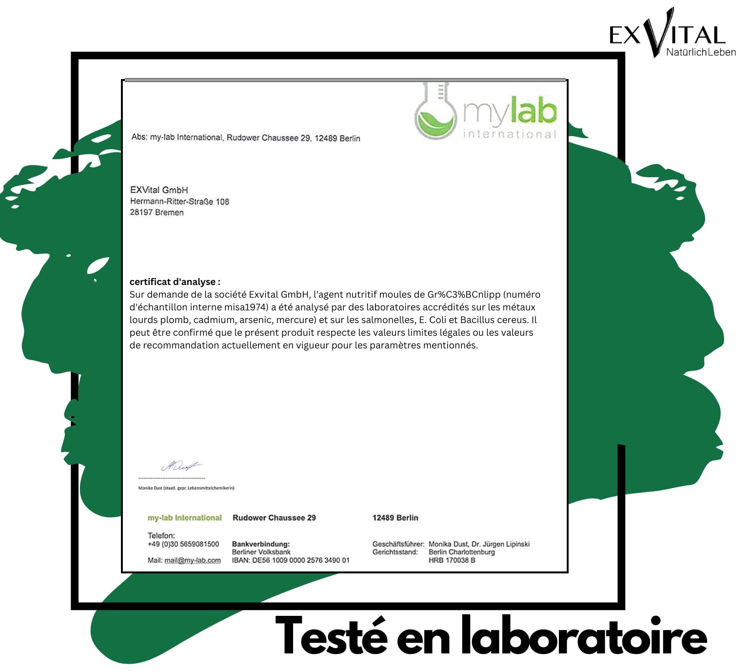 Moules aux orles Verts de Nouvelle-Zélande 1500 MG - Oméga 3 et glycosaminoglycanes - 300 gélules de Poudre de moules aux orles Verts, sans additif
