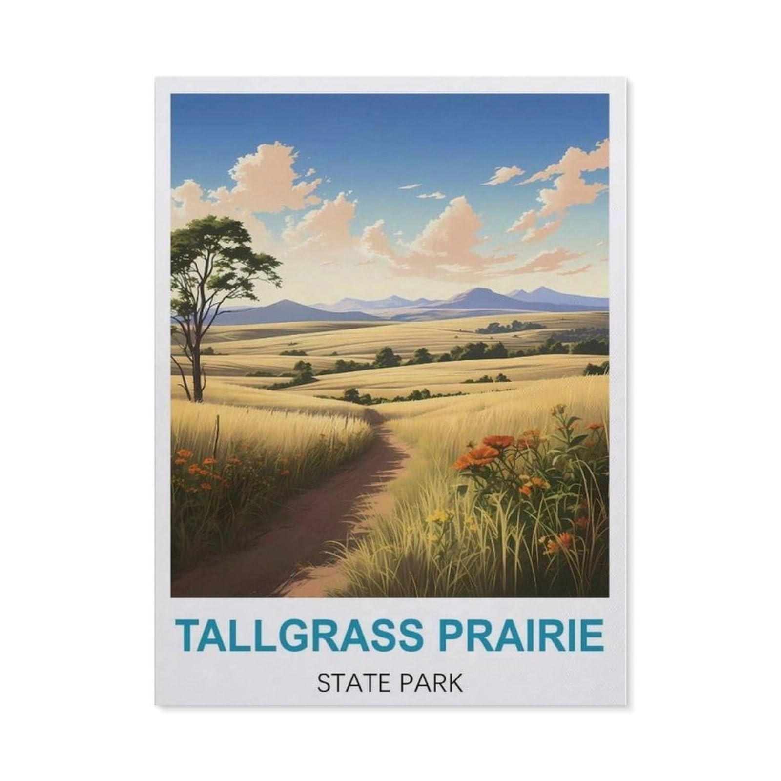 BEAYODKP DIY 5D Diamond Painting Kits，Tallgrass Prairie State Park,Diamond Painting for Beginner Adults Rhinestone Numbered Diamond Arts Home Wall Decor（50 x 60 cm/19.68 x 23.62 inches）-CC9