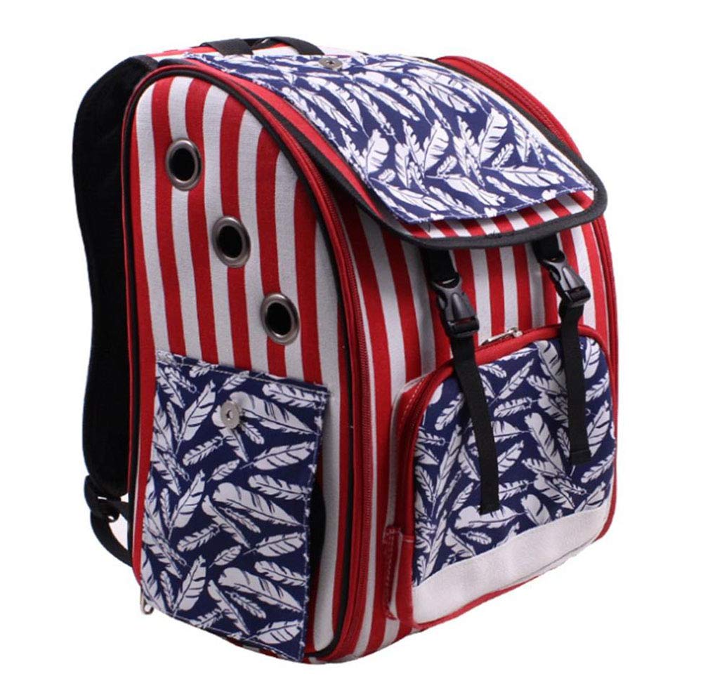 Sac à dos pour chat portable pour emmener votre animal partout en balade