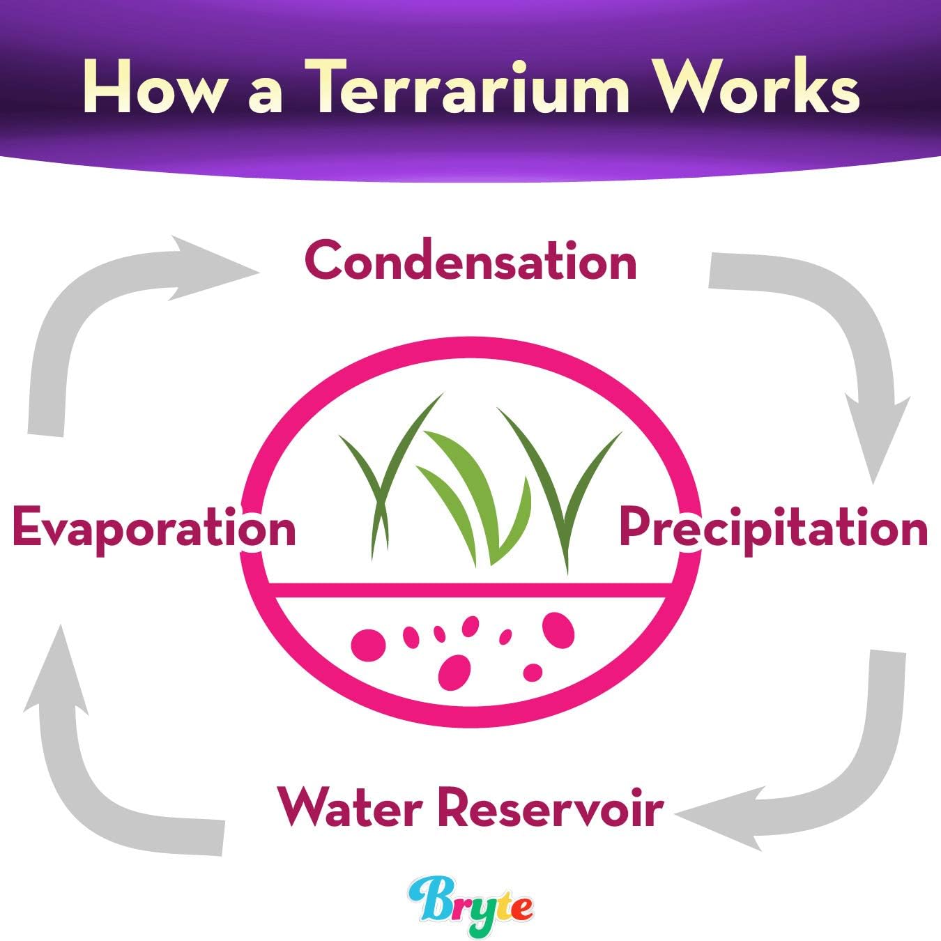 Little Growers Unicorn Terrarium Kit for Kids with Rainbow Fairy Lights and Paintable Figurines - Plant and Grow Light Up Garden - Science and Craft Kits for Girls and Boys - STEM Age Gifts and Toys : Toys & Games