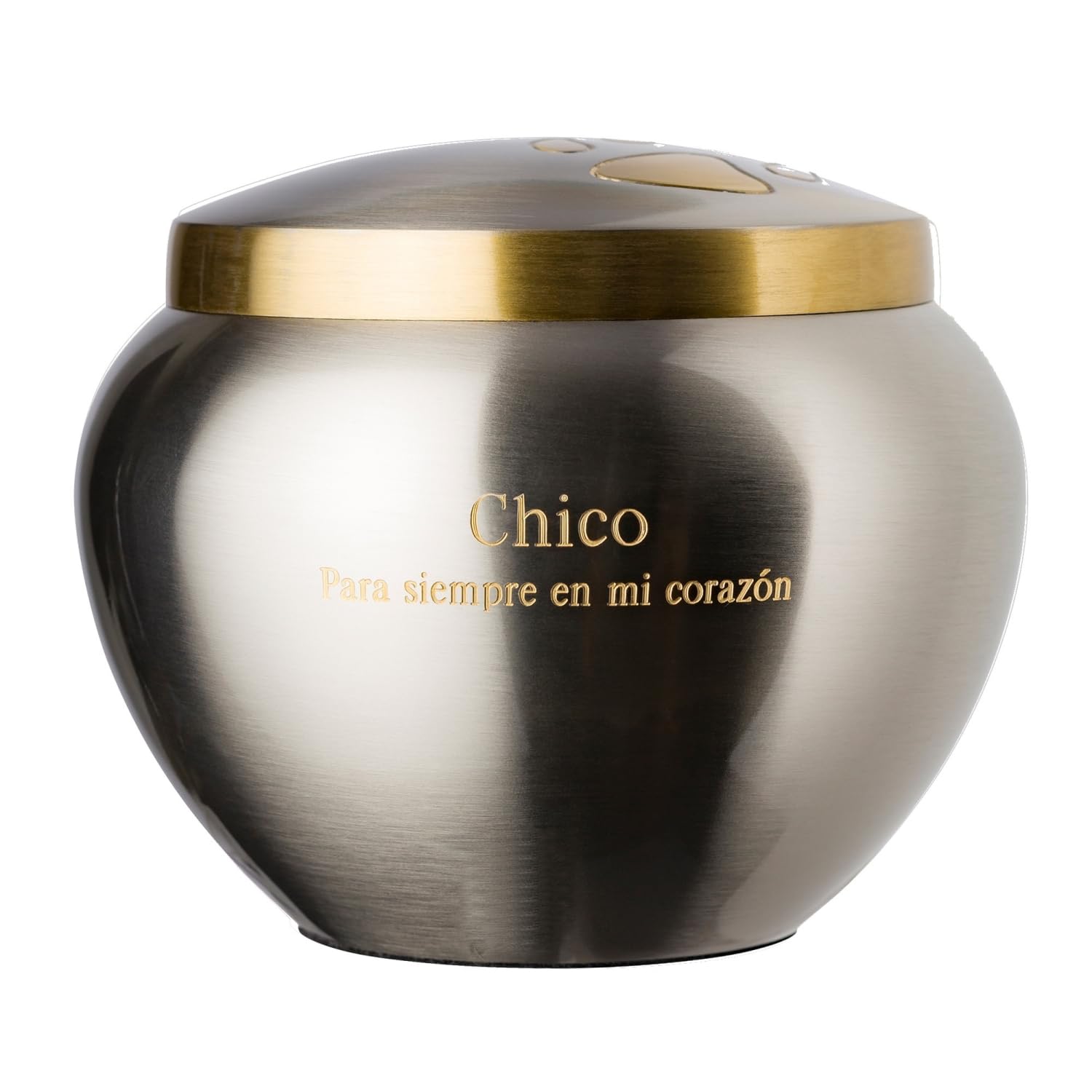 Best Friend Services Mia Paws Elite Series Pet Urn with Personalized Custom Engraving Memorial Cremation Urn Keepsake for Dogs and Cats Ashes (Small,