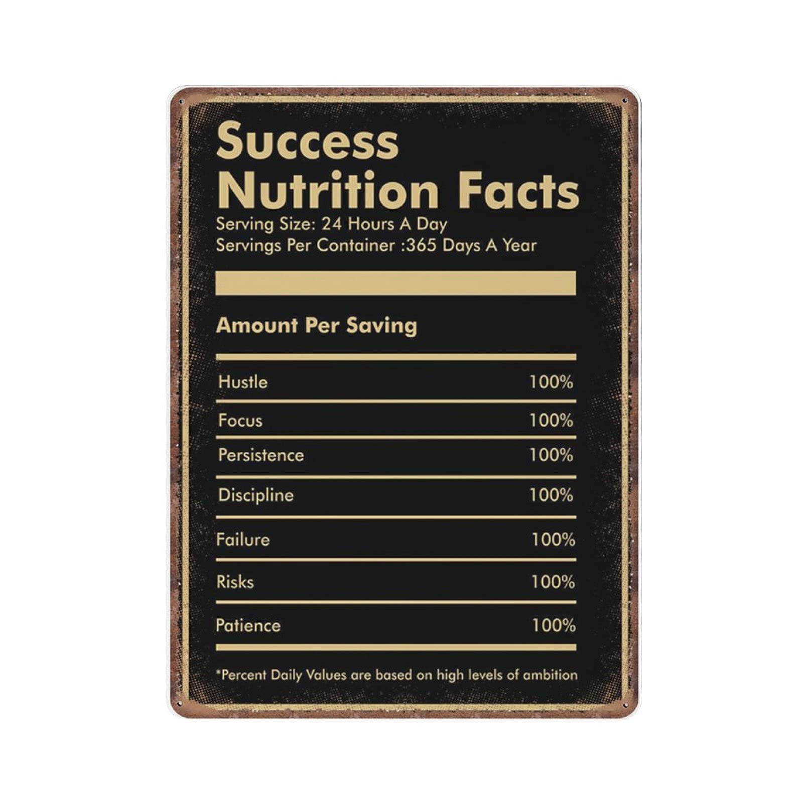 rayprint Success Nutrition Motivation Tin Signs Funny Vintage Metal Sign Plaqu Poster Wall Art Pub Bar Kitchen Garden Bathroom Home Decor, 30x40 cm
