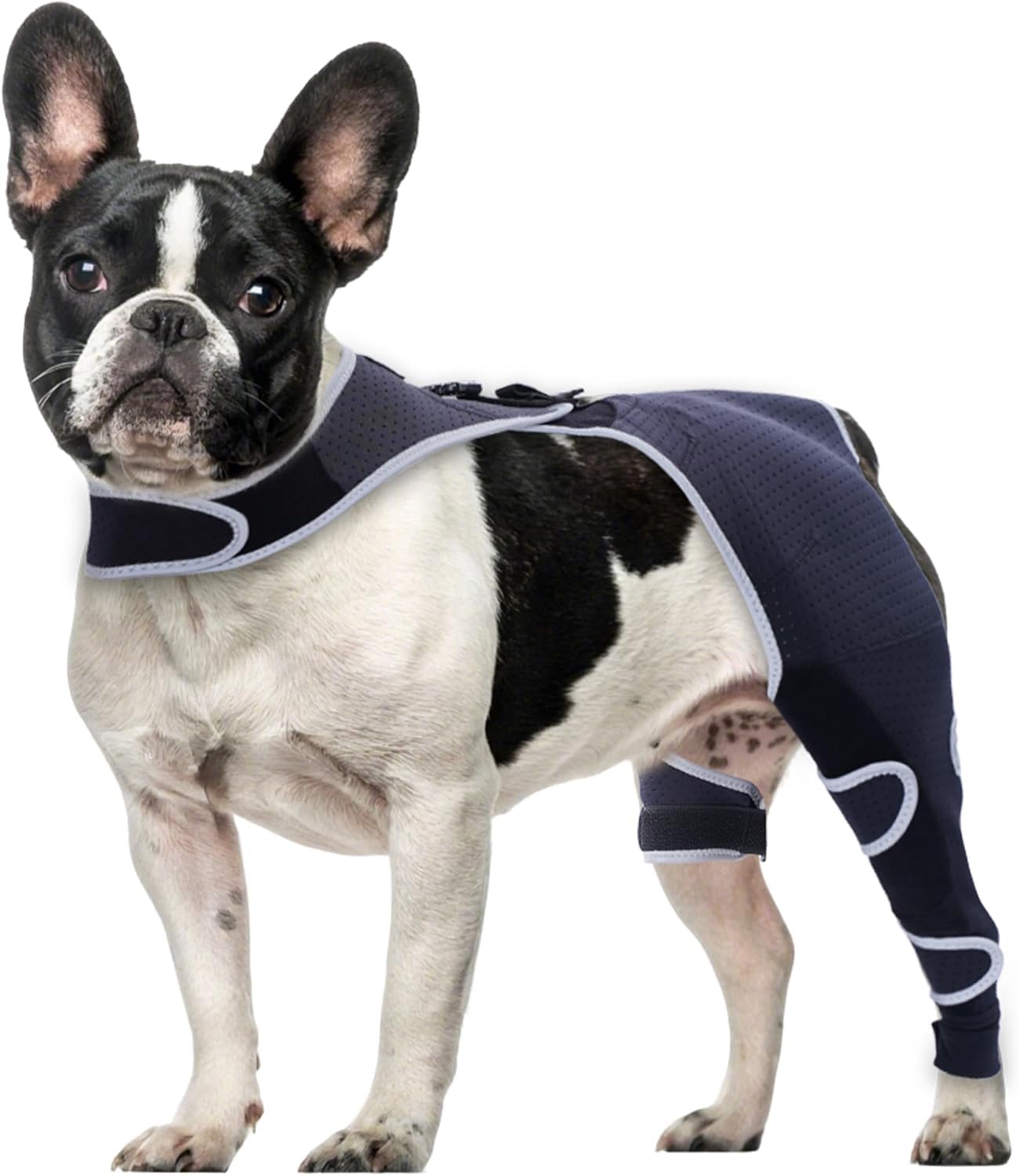 Dog Knee Brace for Back Leg ACL CCL Support with Anti-Slip Harness
