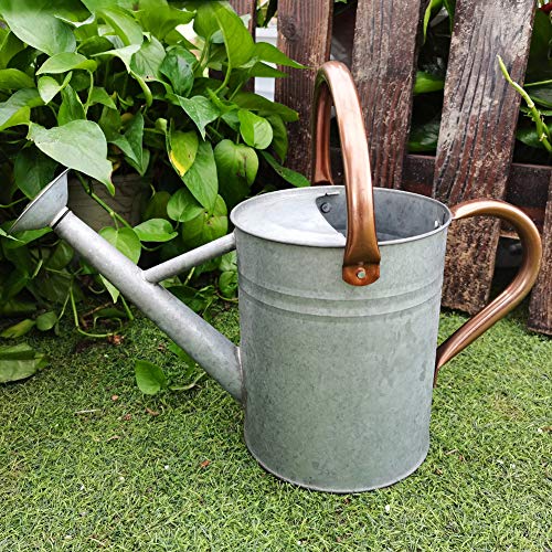 yourjoy Steel Watering Can Sliver Galvanized Steel Watering Can with Copper Accents,Removable Rosette-Diffuser,One-Gallon