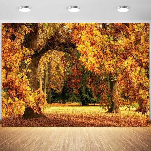 Amazon.com : 8x6ft Fall Forest Backdrop Fall Leaves Autumn Tree Nature ...