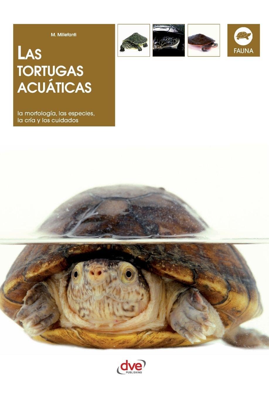 Las tortugas acuáticas: La morfología, las especies, la cría y los cuidados
