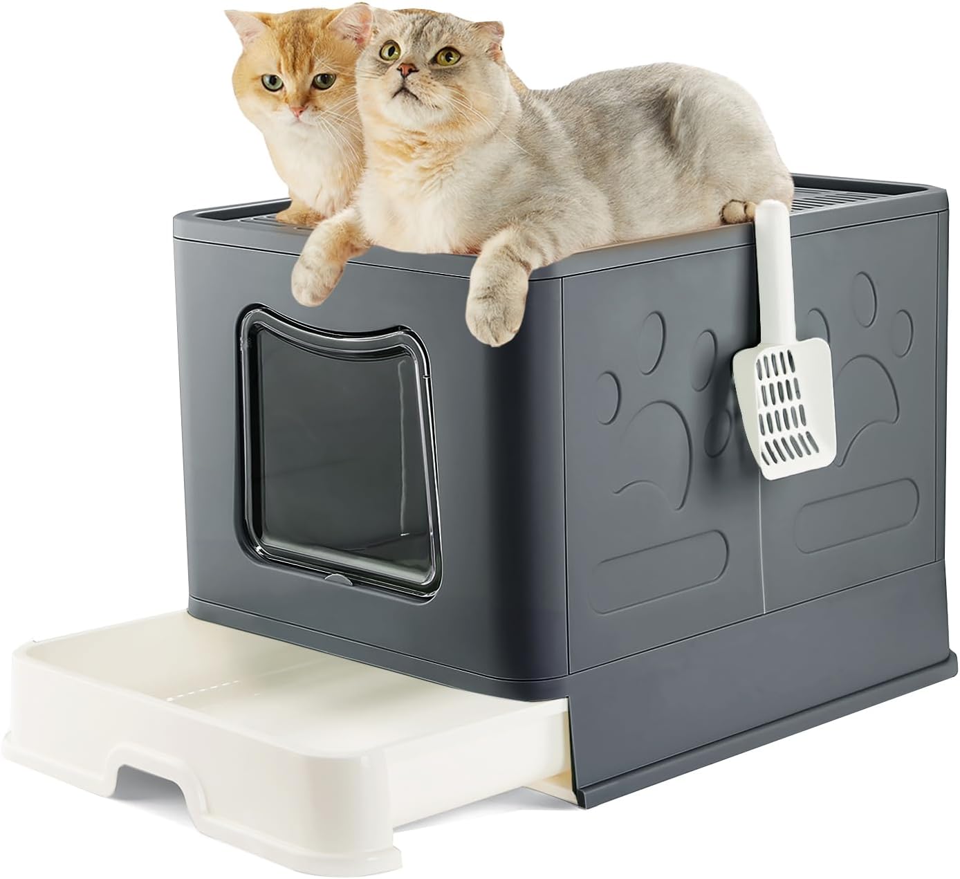 Pawsayes Extra Large Cat Litter Box, Enclosed Top Entry Big Cat Litter