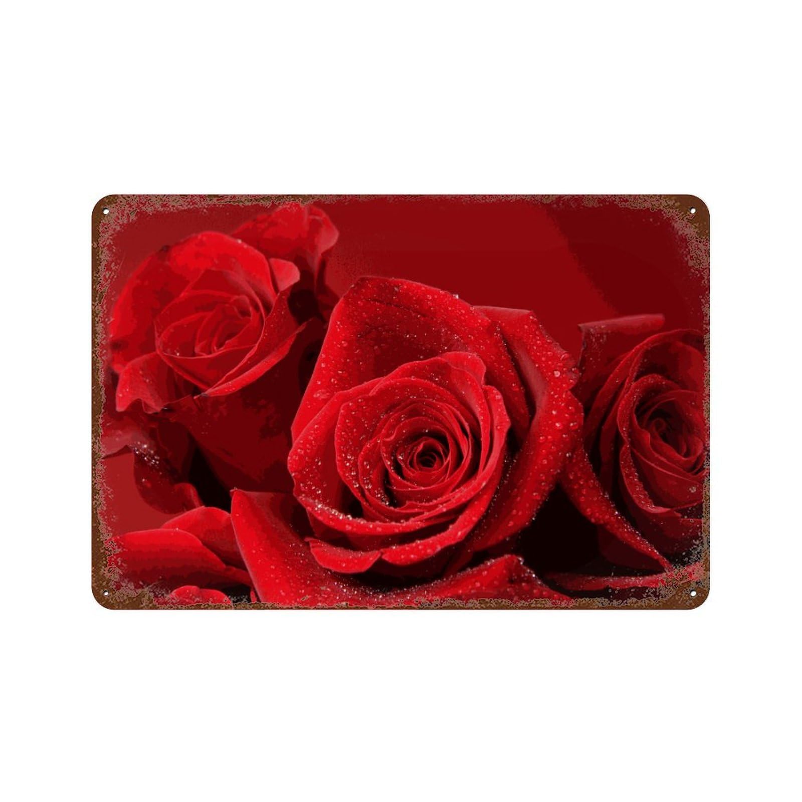 Red rose,Funny Vintage Metal Tin Sign Kitchen Bathroom Office Garage Bar Cafe Restaurant Shop Cave Home Wall Decor Art Ideas Gift Tin Sign-30x40cm(12x16 inch）J74