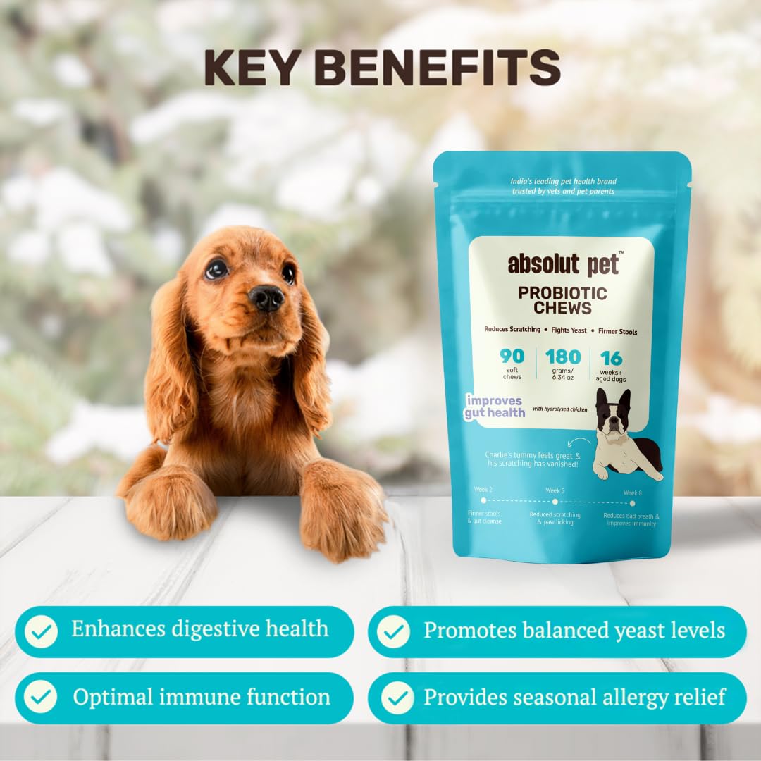 Absolut Pet Probiotic Gut Health Chews for Dogs |90 Chews — Amazon image 2