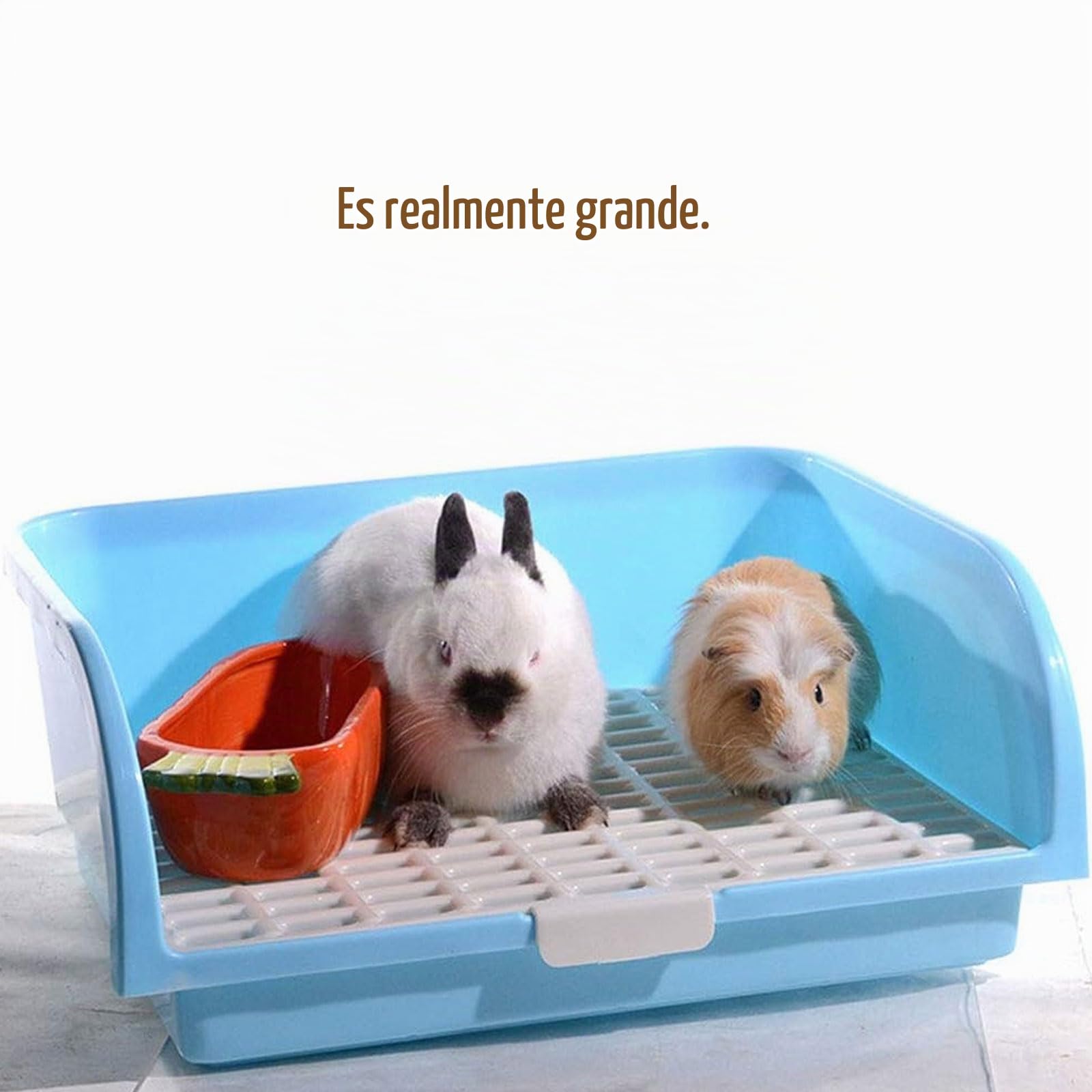 Baño Para Animales Pequeños, Arenero Para Conejos Y Otros Animales Pequenos Orinal De Entrenamiento Para Cobayas Y Hurones Gris 91679608