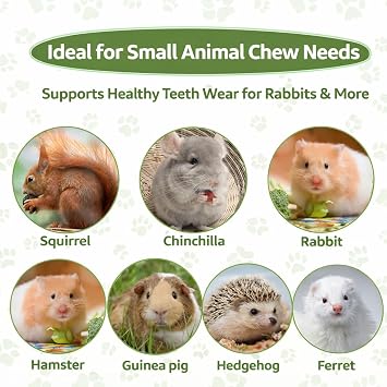 Sukh 240g Sweet Bamboo Chew Sticks - Rabbit Chew Sticks & Bamboo Sticks for Rabbits, Natural Bunny Bamboo Chew Toy for Teeth Grinding, Small Animal Treats for Guinea Pig, Hamster, Chinchilla