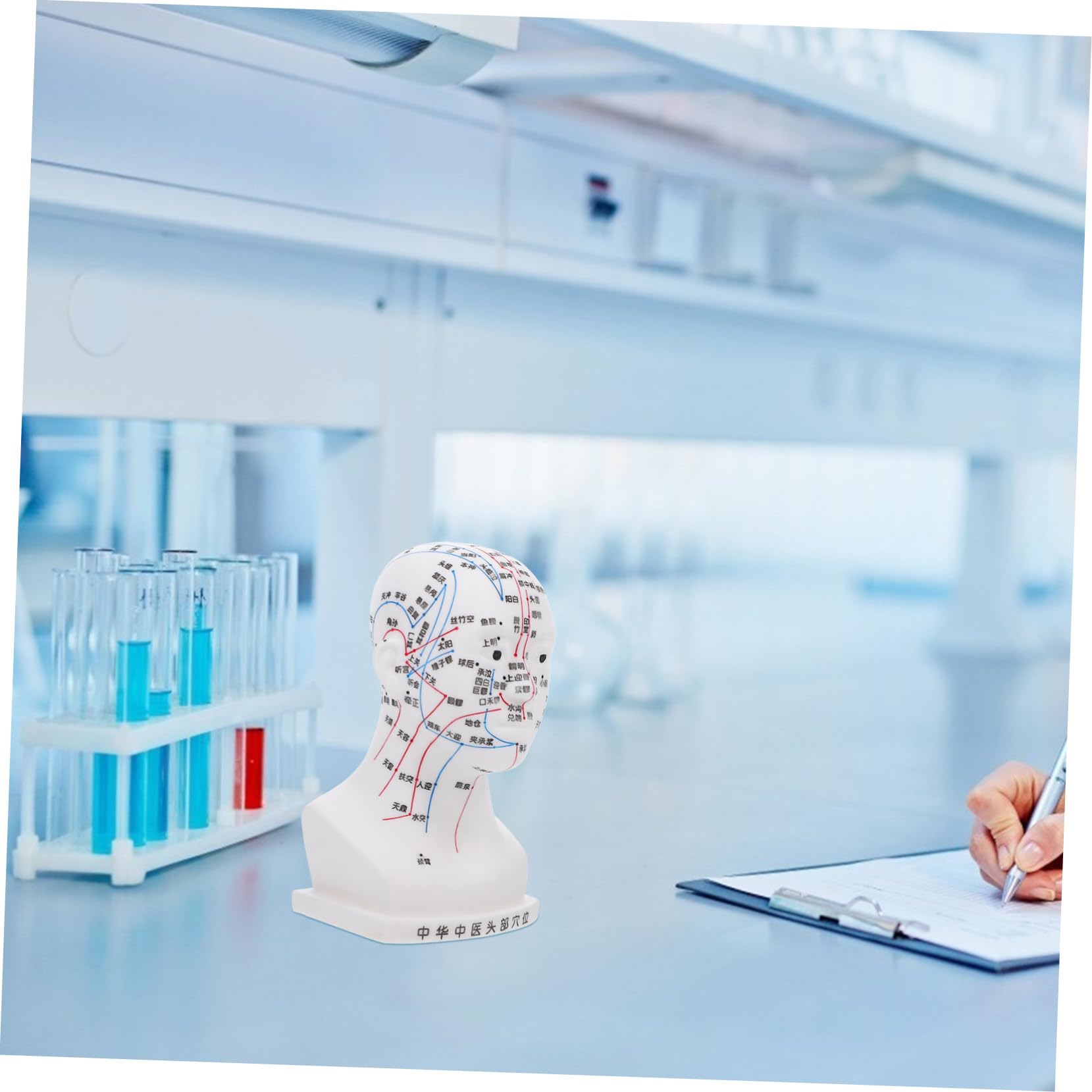 De Acupuntura De Cabeza De De Puntos De Acupuntura Facial Para Estudio y Enseñanza De Cabeza