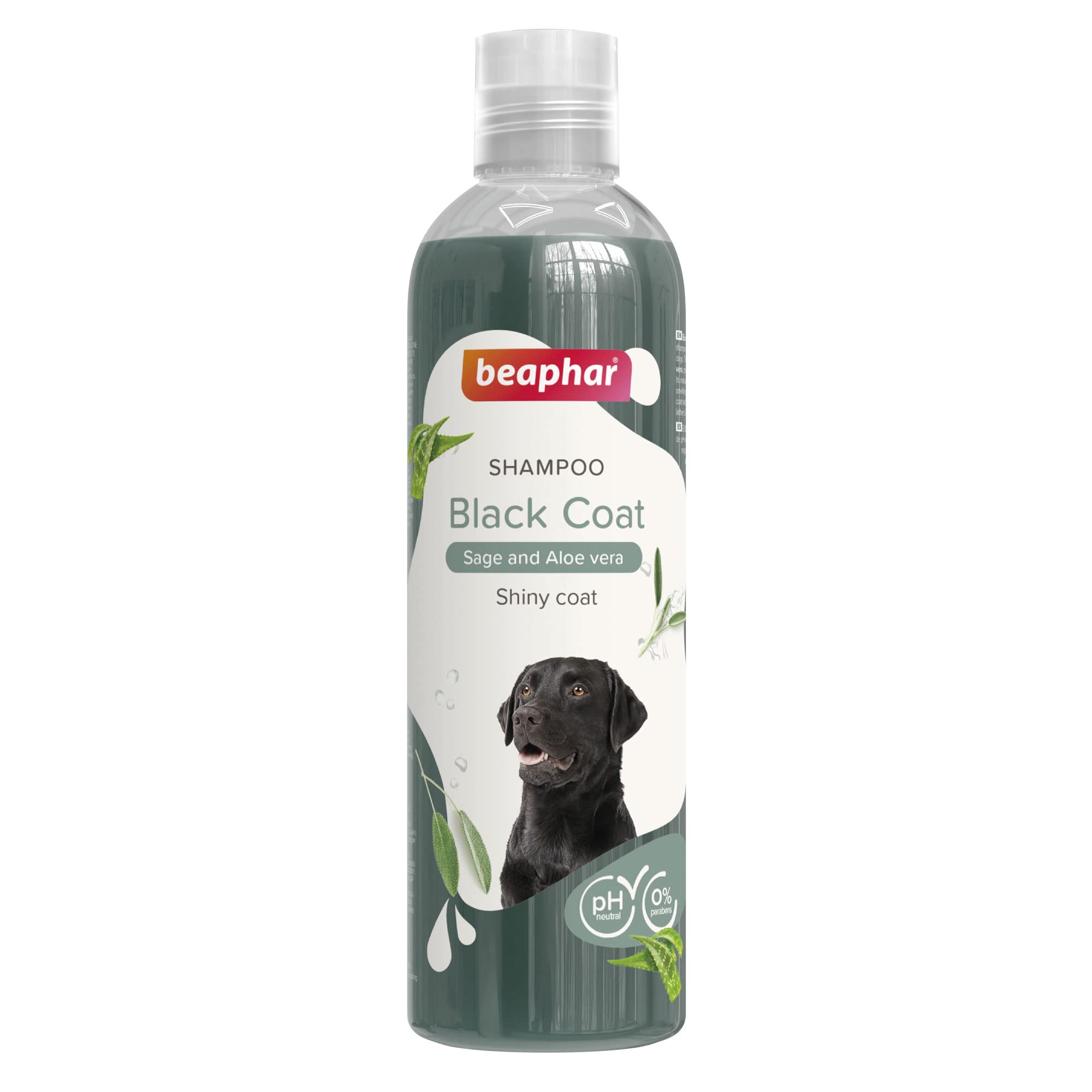 Beaphar Champú Perros Pelo Negro 250ml – Extractos Naturales de Aloe Vera y Salvia – Cuida y Protege su Piel y Mantiene el Color de su Pelo – Ideal para pelos Oscuros - pH Neutro – 250 ml
