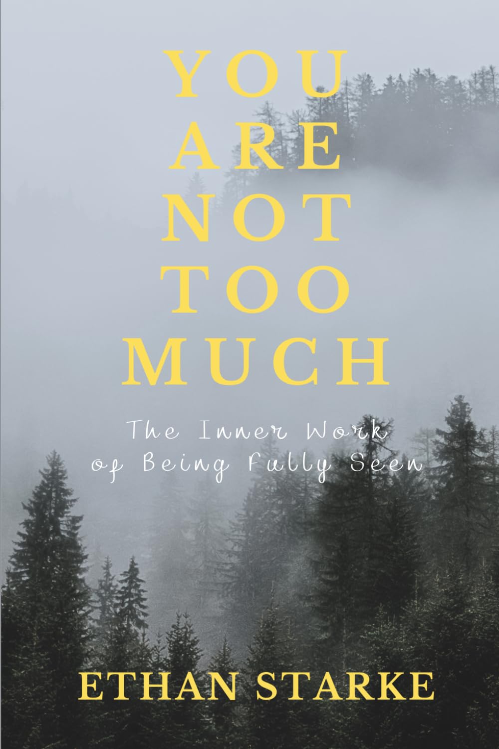 You Are Not Too Much: The Inner Work of Becoming Fully Seen