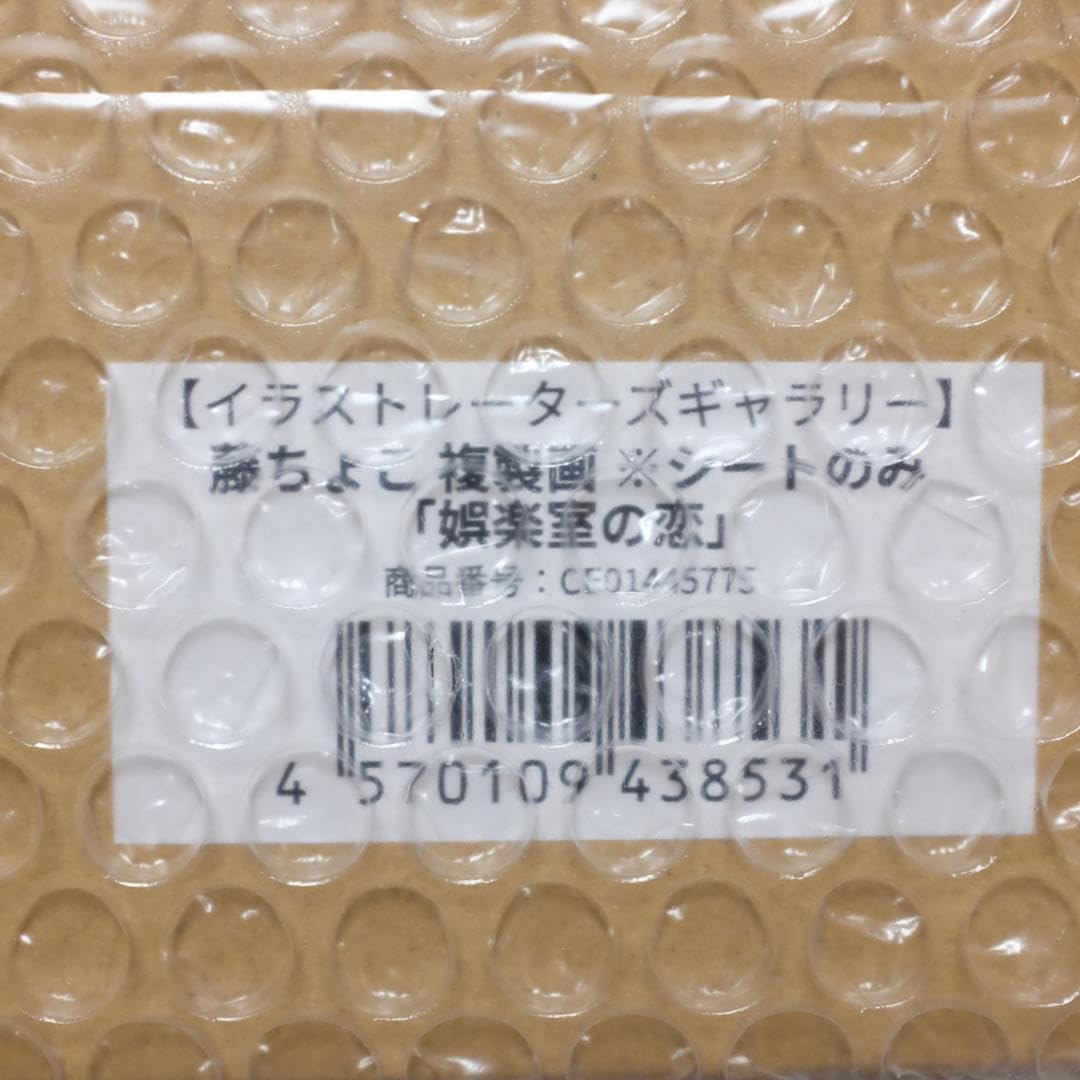 Amazon.co.jp: 藤ちょこ 複製原画 3種 ＋ オーロラポスター 娯楽室の恋