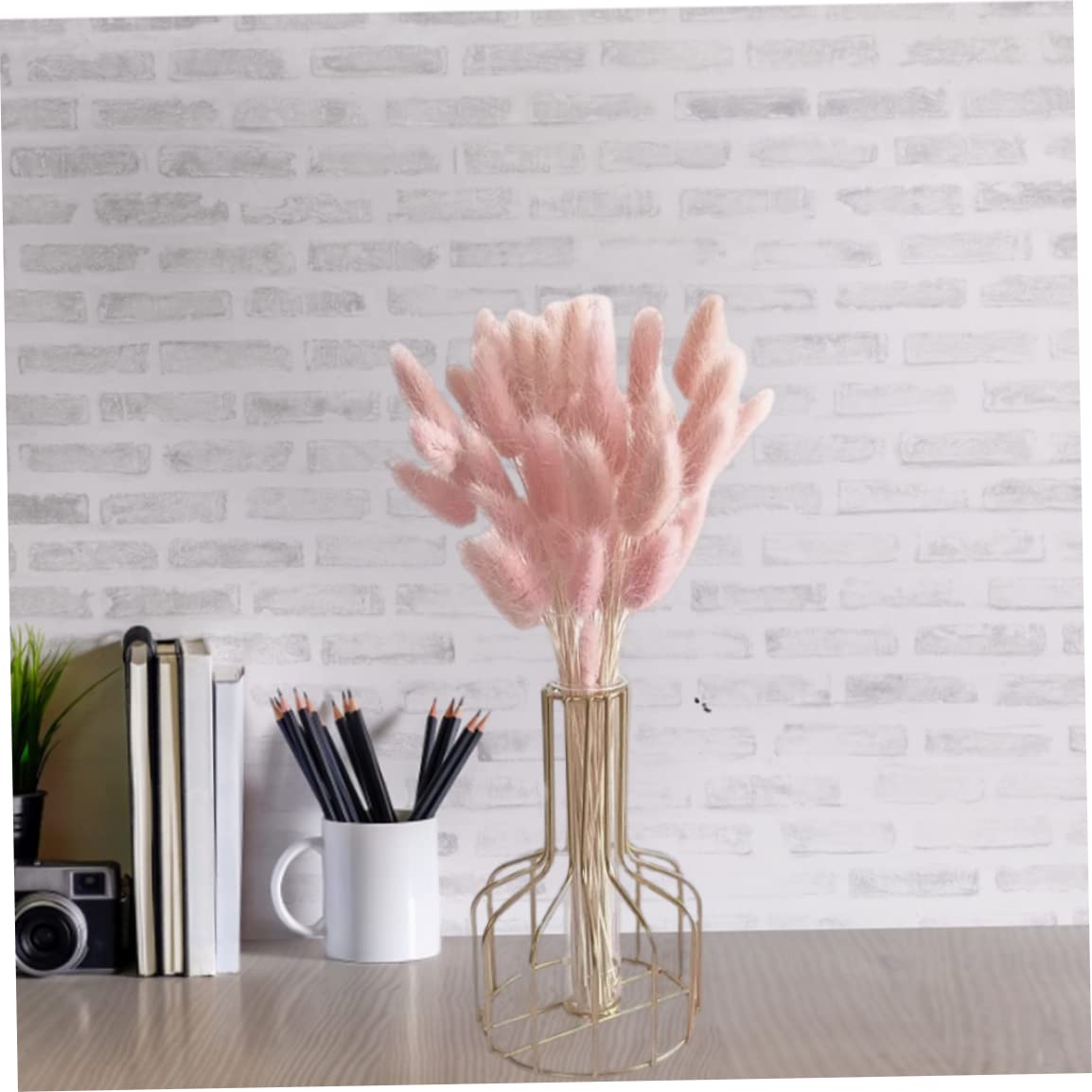 Flor de Cola de Conejo Seca, Ramo de Flores secas de Cola de Conejo Natural, decoración de Hierba de Pampa para decoración del hogar, 50 Uds., 50 cm de luz