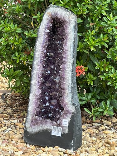 GAF Treasures Amethyst Geode Crystal (57.2 lbs)