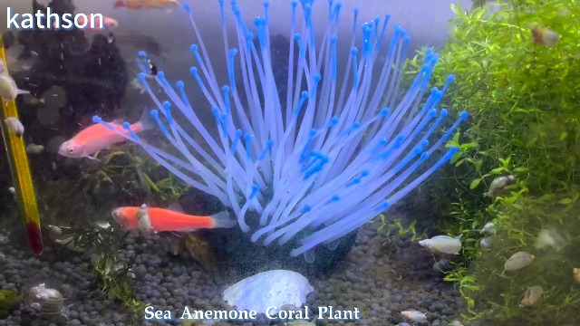 ZtohPyo 4pcs Silicone Glow Aquarium Decorations Plants with Simulation Silicone Coral, Artificial Horn Coral, Fluorescence Sea Anemone for Aquarium Aquarium Glow Ornament
