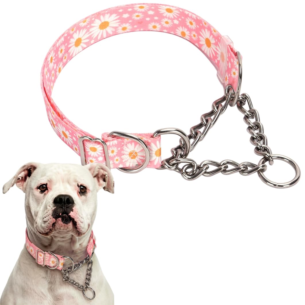 Chain Dog Collar, Heavy Duty Martingale Collar For Dogs Chew Proof, Adjustable For Training, Walking With Stainless Steel for Medium Large Breed Dogs