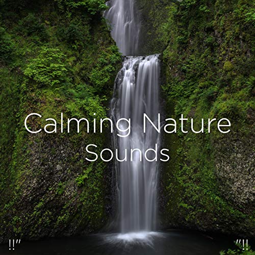 Amazon Music - Nature Sounds Nature Music & Nature Soundsの!!" Calming ...