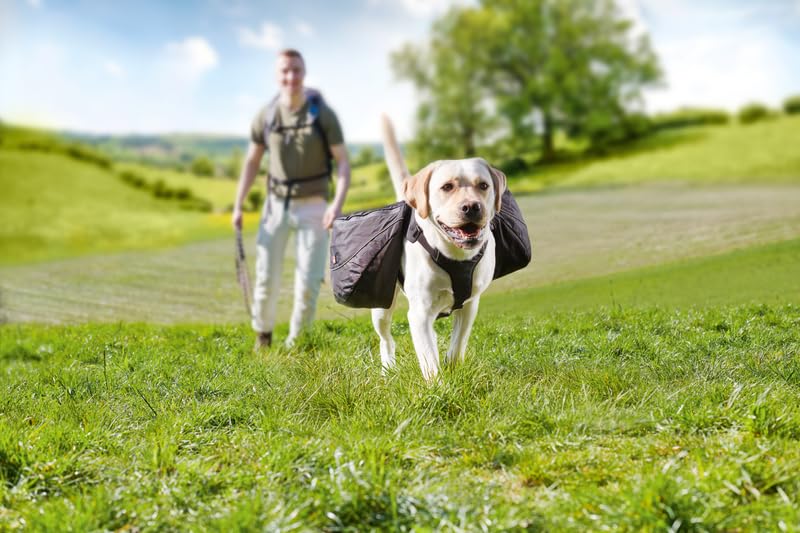 Dogs Creek Geschirr + Rucksack Travel schwarz L