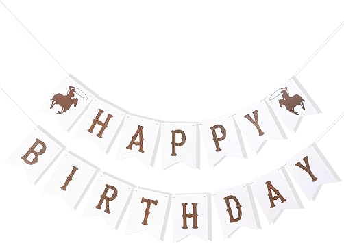 Cowboy 1st Rodeo Happy Birthday Banner,My First Rodeo Party Decor | One Cowboy Happy Birthday Banner,Western 1st Photo Prop Cake