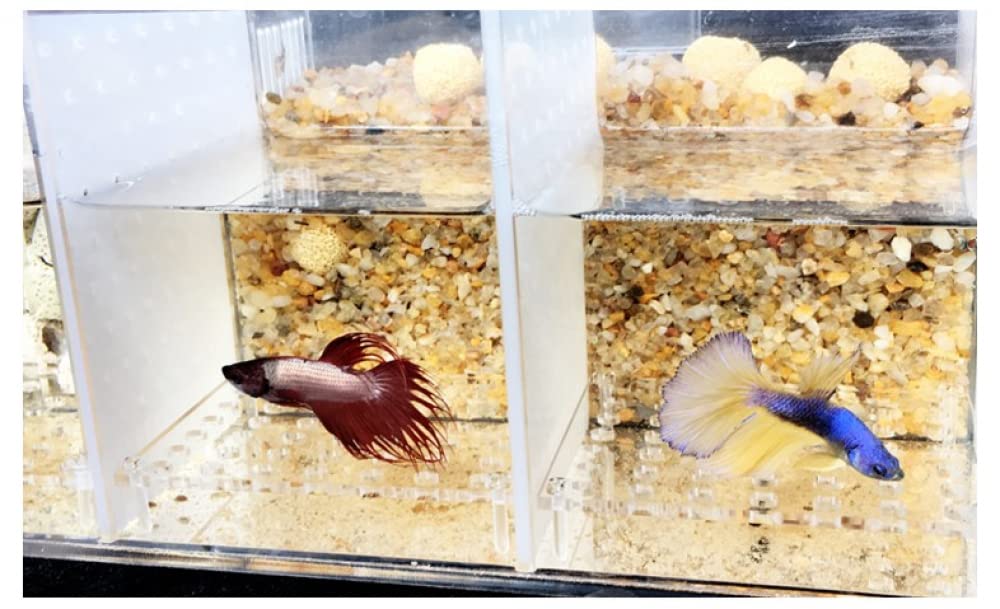 Siqi Betta Fish Tank Materiale acrilico Mini Desktop Aquarium Goldfish Mini Fish Tank Stanza di isolamento per pesci malati, con filtro per pompa dell'acqua, illuminazione (4 spazio reticolo)