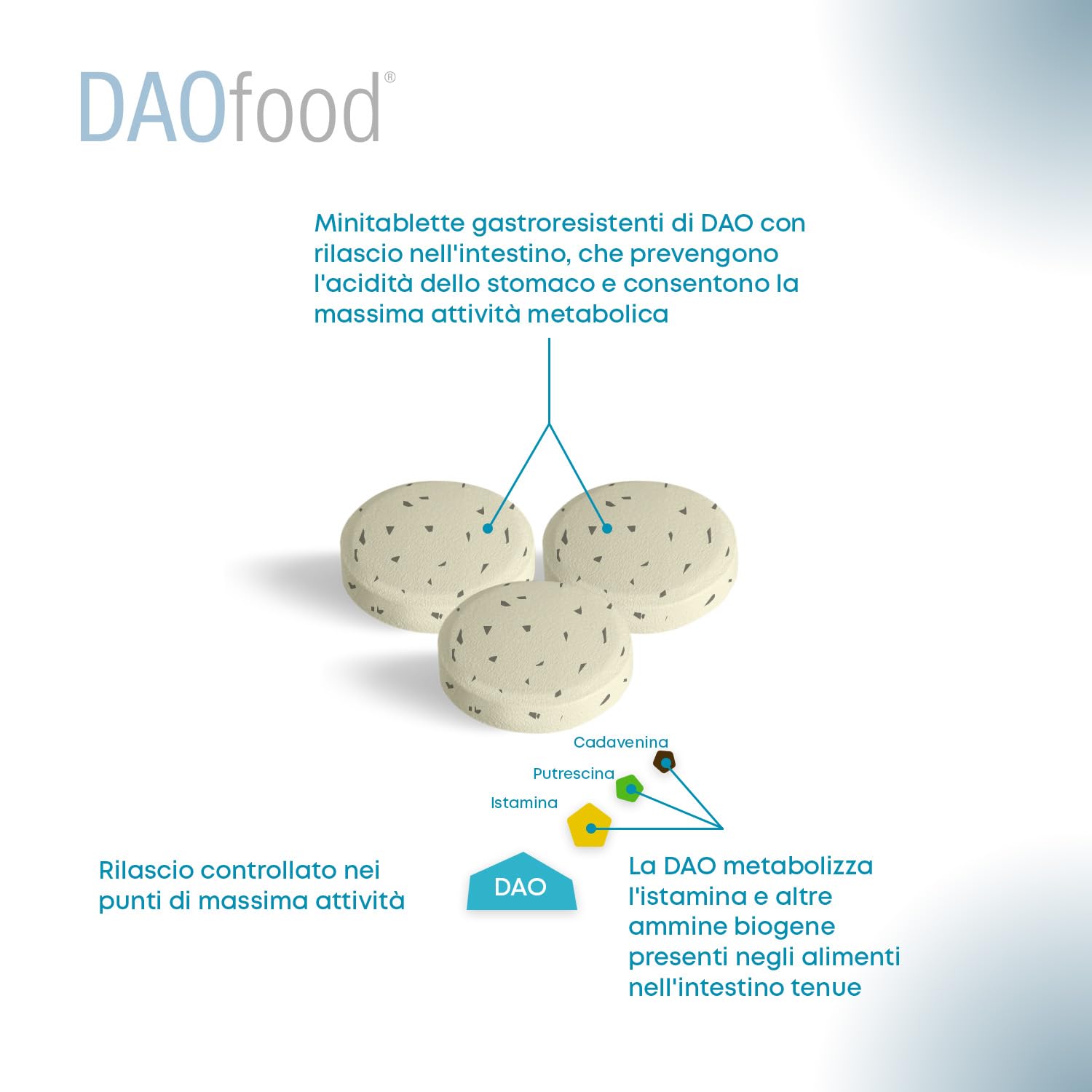 DR Healthcare - DAOfood - Enzima DAO - Supporta l’Equilibrio dell’Istamina Alimentare - Dispenser con 60 Mini-Compresse Gastroresistenti