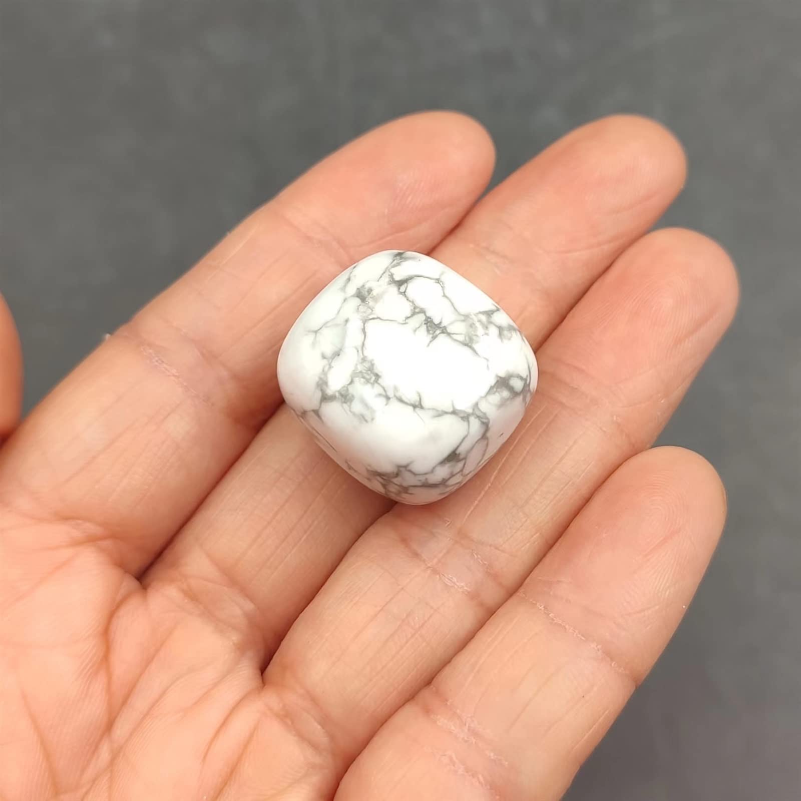 1pc Howlite Naturale Tumbled Stones Cristallo di Quarzo Pesce Vaso di Fiori Paesaggio Decorazione Pietra preziosa Ornamento for la casa Cristallo Collezioni di casa
