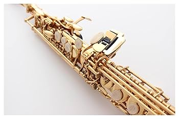 美品 Heinrich ハインリヒ ソプラノサックス ゴールドラッカー 管楽器 Amazon.co.jp: 学生アルトサックス ソプラノサクフォンゴールド