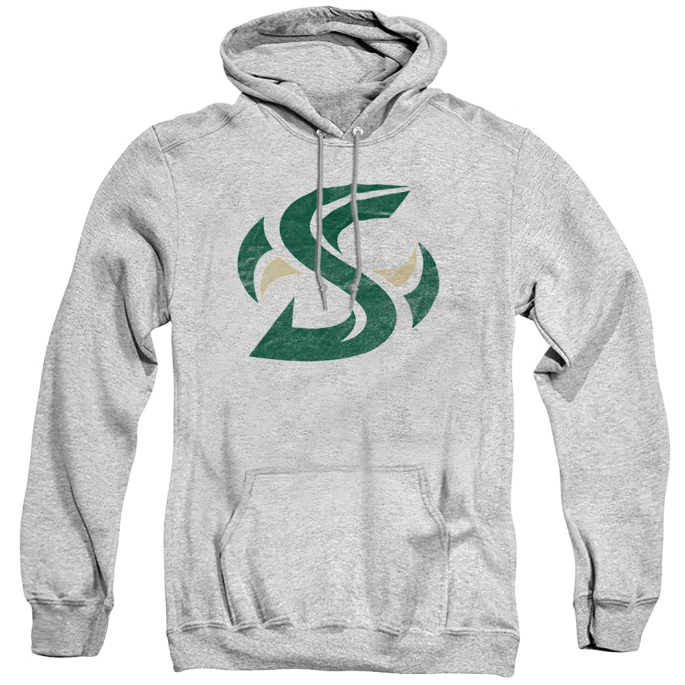 LOGOVISION Official Collegiate Distressed Primary Logo Adult Pullover Hoodie Collection — view 527