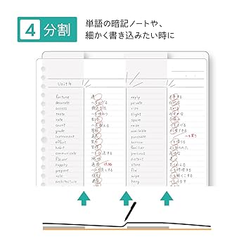 人体　下敷き　4枚 Amazon.co.jp: クツワ 下敷き わけありしたじき 4分割 ホワイト