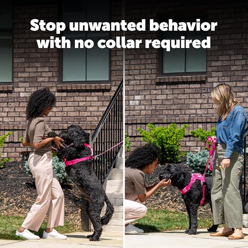 PetSafe Collarless Trainer – Ultrasonic Bark Deterrent – Handheld Anti Bark Device – High-pitched Sound, Flashing Light and Variable Tone – Rechargeable Battery – Flashlight – Wrist Strap - Image 3