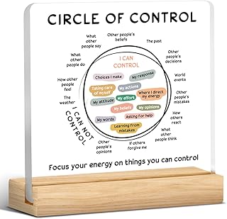 Mental Health Decor, Therapy Office Gifts, Therapy Office Decorations, Therapist Gifts for Women Men, Things I Can Control Acrylic Desk Sign Classroom Decor (4 x 4 Inches)