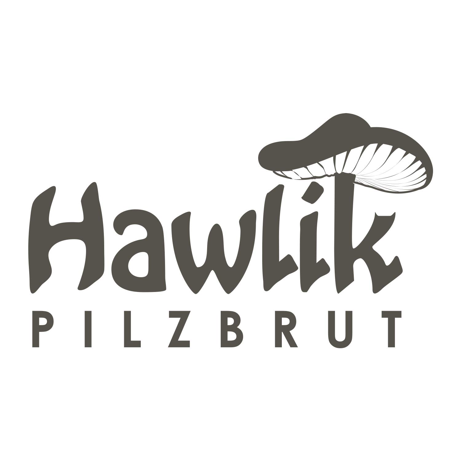Hawlik Pilzbrut- XXL set de cultivo de setas a base de hierbas orgánicas para el cultivo de su propio (lat. Pleurotus eryngii) - crecer sus propias setas orgánicas