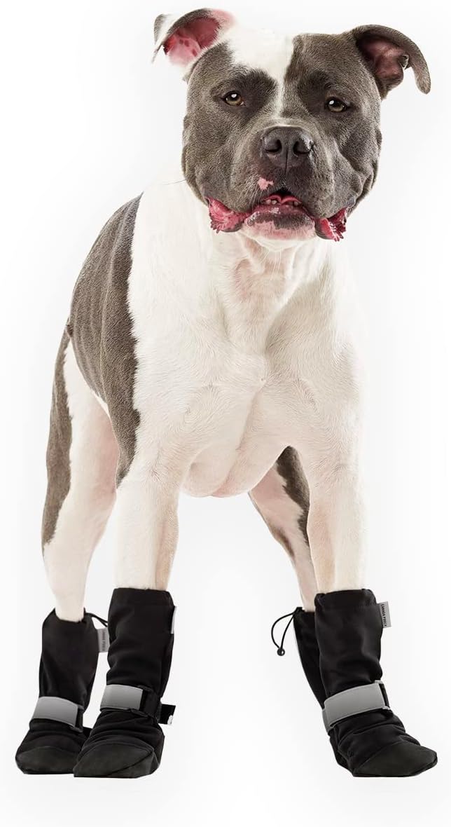 - Canada Pooch Dog Winter Boots - Paw Protection, Anti-Slip Dog Shoes with Reflective Strap, Easy On for Small Medium Large Dog Booties - Black, Size 6