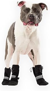 Canada Pooch Dog Winter Boots - Paw Protection, Anti-Slip Dog Shoes with Reflective Strap, Easy On for Small Medium Large Dog Booties - Black, Size 2