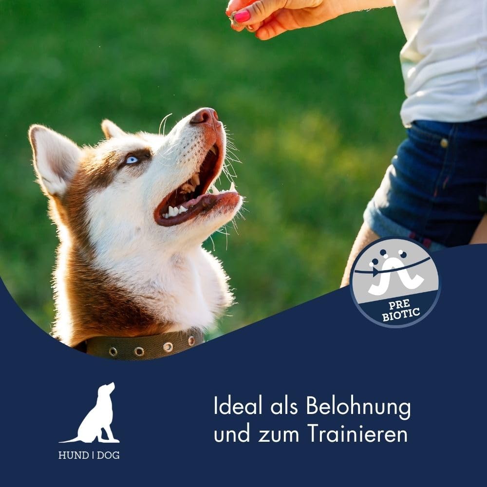 Trainee Snack Agnello | Snack per Cani e Gatti | 2 x 500 g | Con FOS