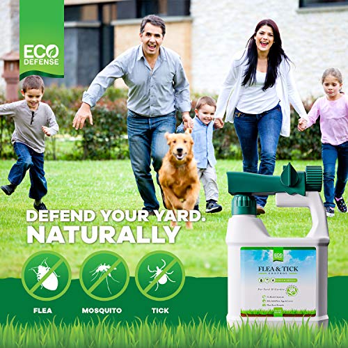 Eco Defense Flea, Tick, and Mosquito Spray for Yard and Perimeter - Safe Around Kids, Pets, Plants - Outdoor Barrier Control & Repellent - Ready-to-Spray Covers Up to 5,000 sq ft - Thumbnail 3