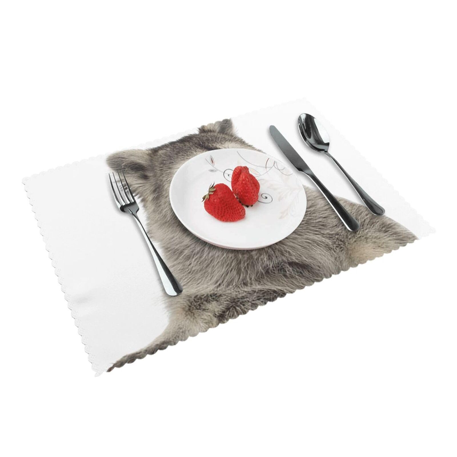 Hairy raccoon Printed Placemats Set of 4 PCS Washable Placemat for Kitchen Table Heat-resistant Table Mats 45x30 CM