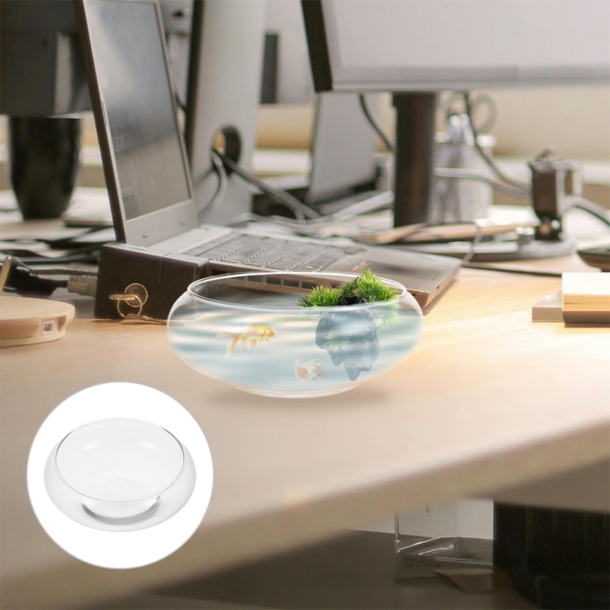 Happyyami Klare Glasvase Für Fische Und Pflanzen Runde Aquarium-vase Elegantes Terrarium Und Pflanzgefäß Für Heimdekoration Und Hochzeiten